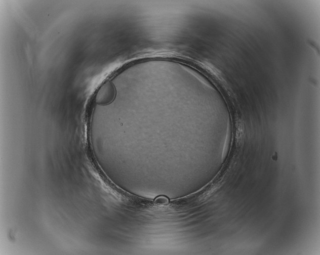 X0000103161414200809121828