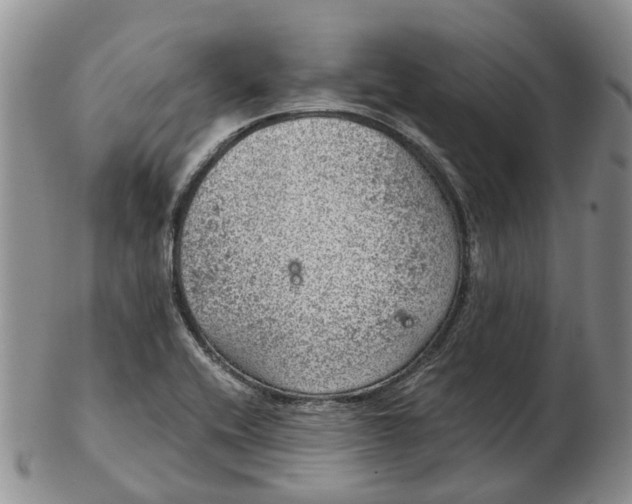 X0000103161416200809121828