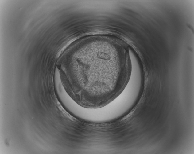 X0000103161417200809121828