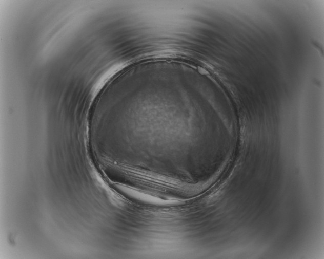 X0000103161418200809121828