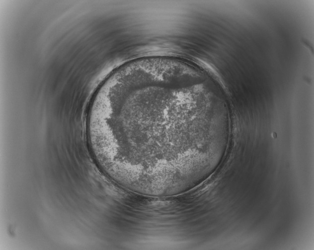 X0000103161419200809121828