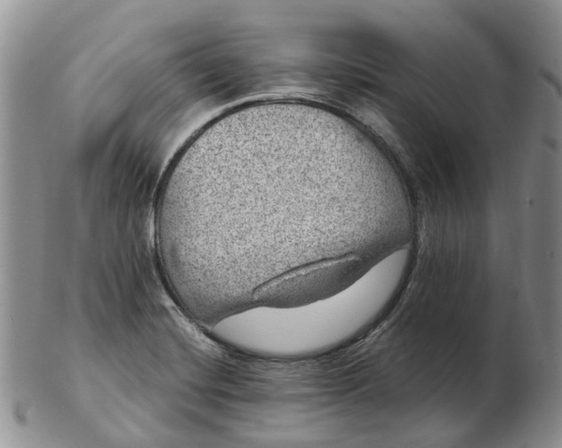 X0000103161420200809121828