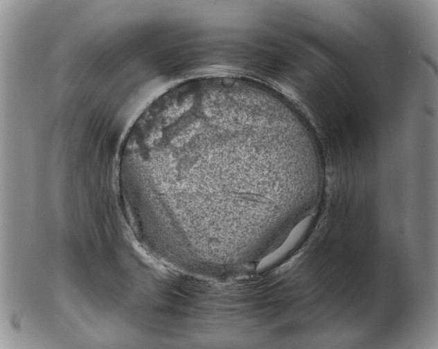 X0000103161421200809121828