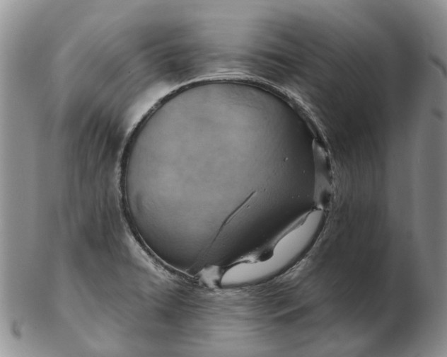 X0000103161422200809121828