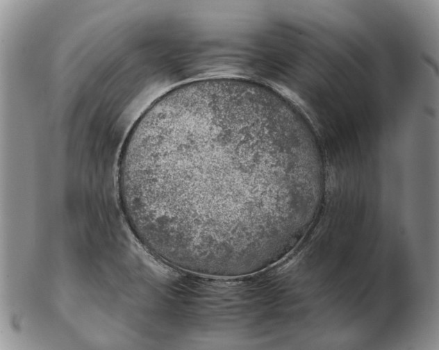 X0000103161423200809121828