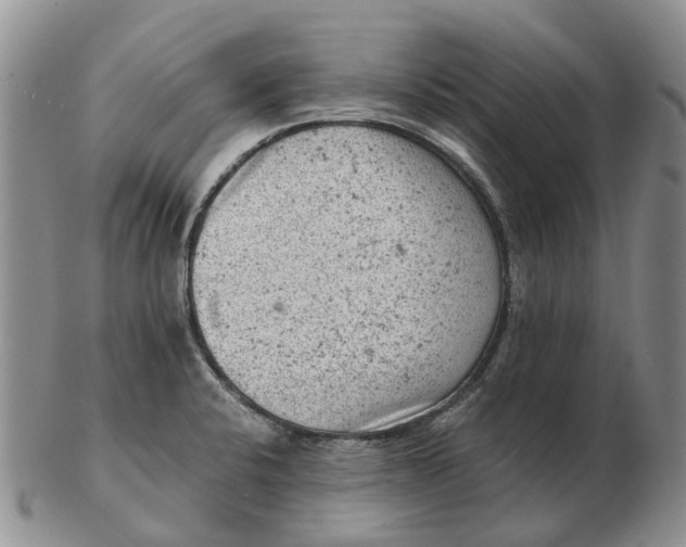 X0000103161424200809121828