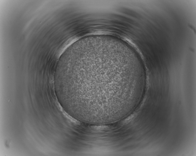 X0000103161425200809121828