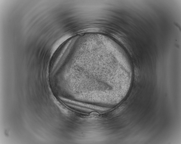 X0000103161426200809121828