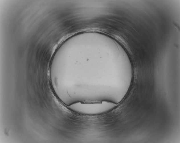 X0000103161428200809121828