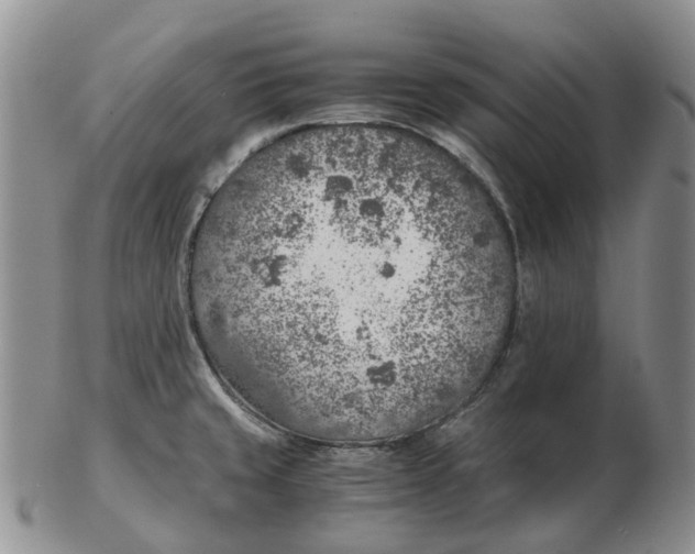 X0000103161429200809121828