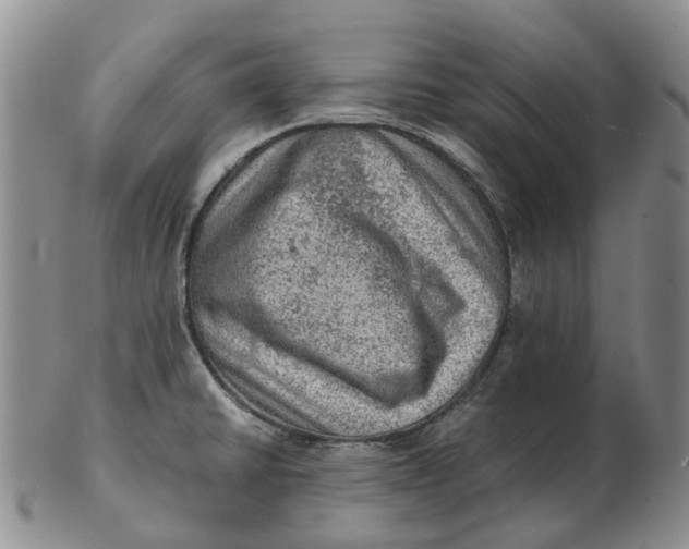 X0000103161430200809121828