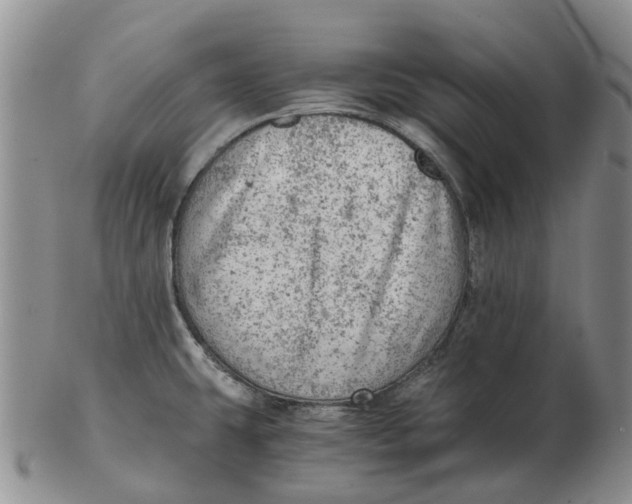 X0000103161431200809121828