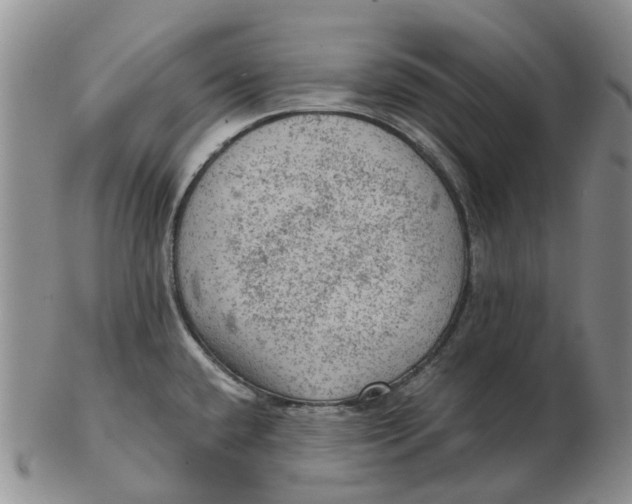 X0000103161432200809121828