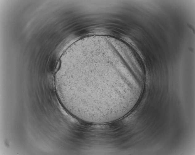 X0000103161433200809121828