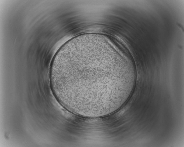 X0000103161434200809121828