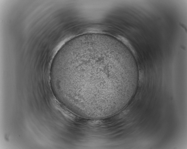 X0000103161435200809121828