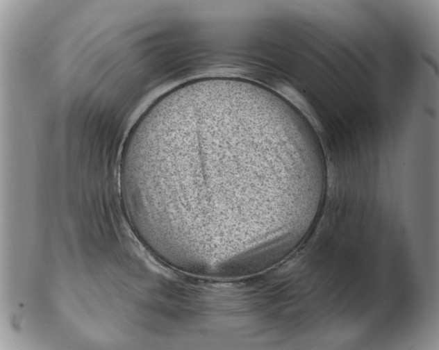 X0000103161436200809121828