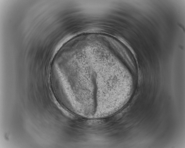 X0000103161437200809121828