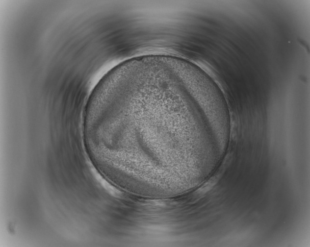 X0000103161438200809121828