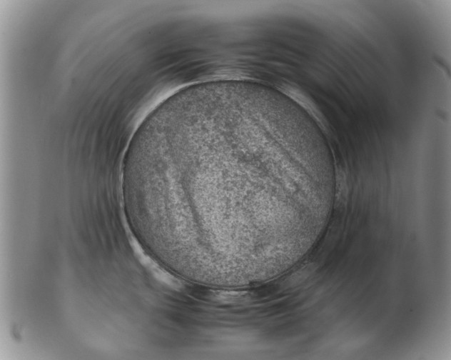 X0000103161439200809121828