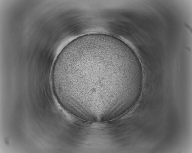 X0000103161440200809121828