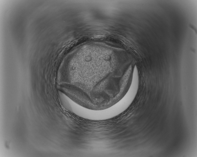 X0000103161441200809121828