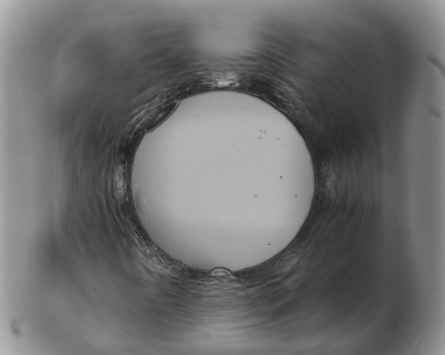 X0000103161442200809121828