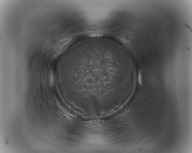 X0000103161444200809121828