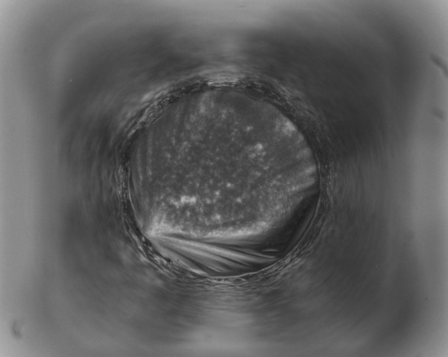 X0000103161445200809121828