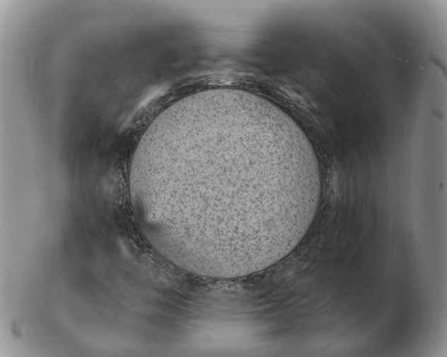 X0000103161446200809121828