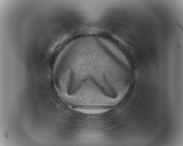 X0000103161447200809121828