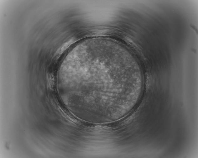 X0000103161449200809121828