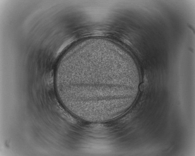 X0000103161450200809121828