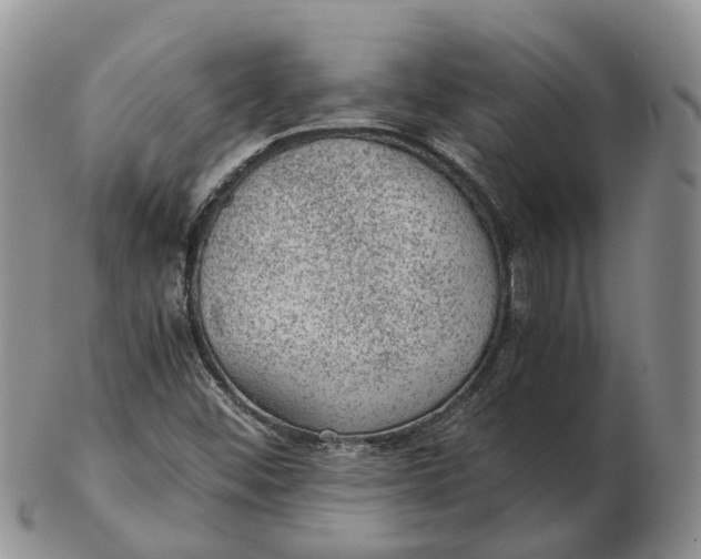 X0000103161452200809121828