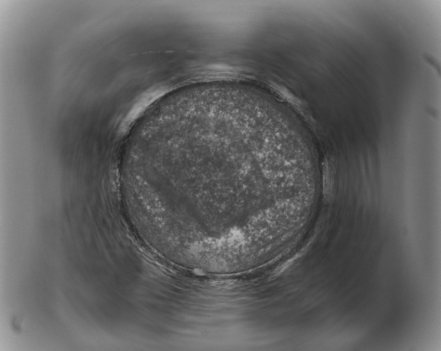 X0000103161453200809121828