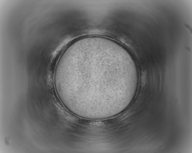 X0000103161454200809121828