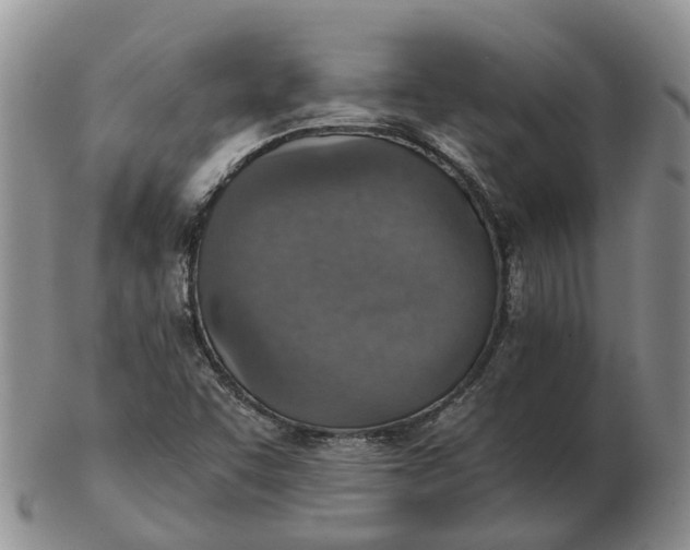 X0000103161455200809121828