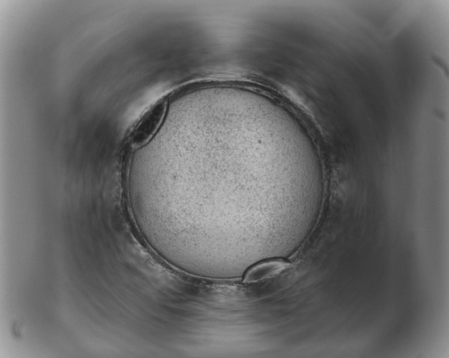 X0000103161456200809121827