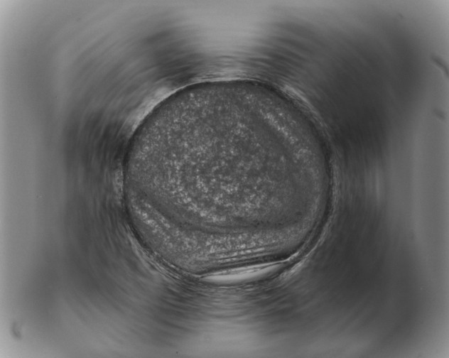 X0000103161457200809121827