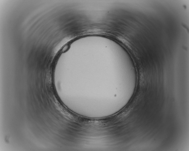 X0000103161458200809121827