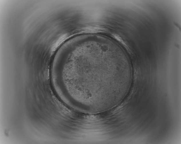 X0000103161459200809121827