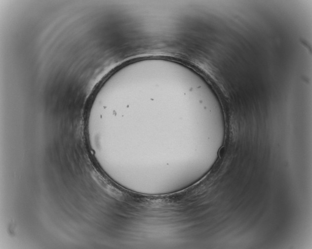 X0000103161460200809121827