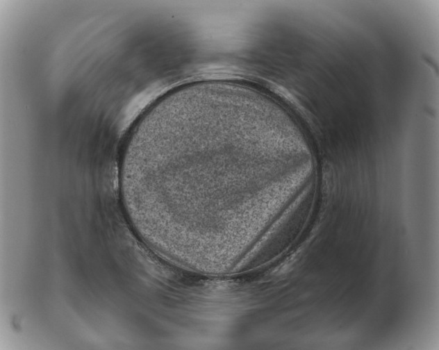 X0000103161461200809121827