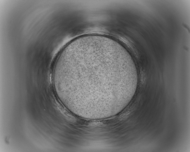 X0000103161462200809121827