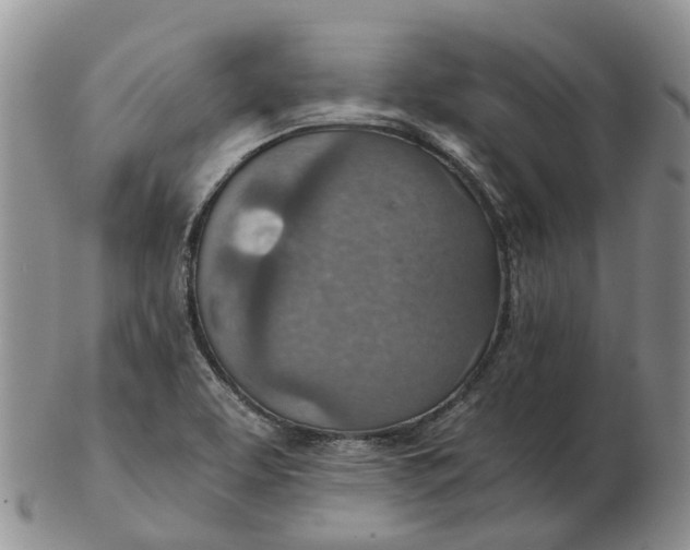 X0000103161463200809121827