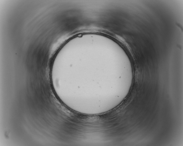 X0000103161464200809121827