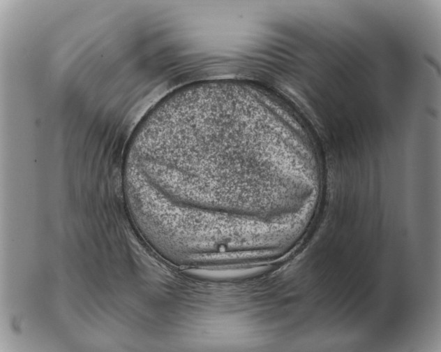 X0000103161465200809121827