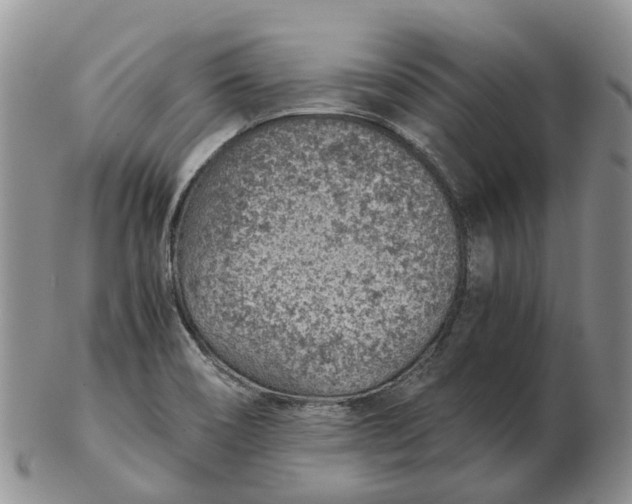 X0000103161466200809121827