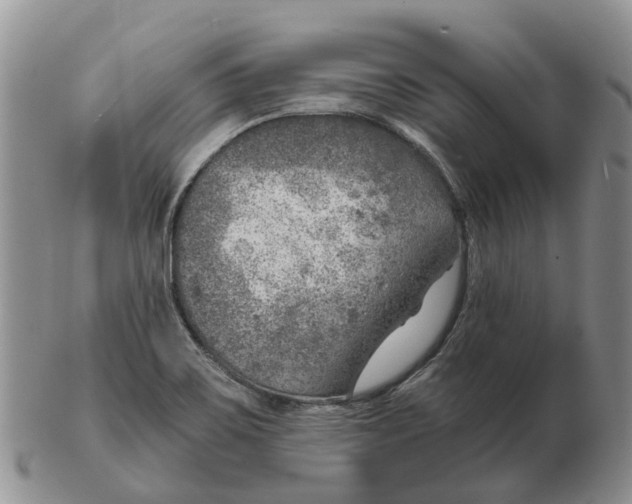 X0000103161467200809121827