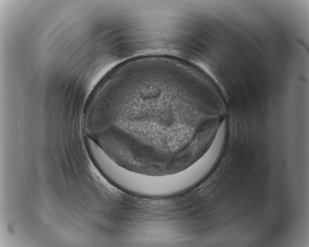 X0000103161468200809121827